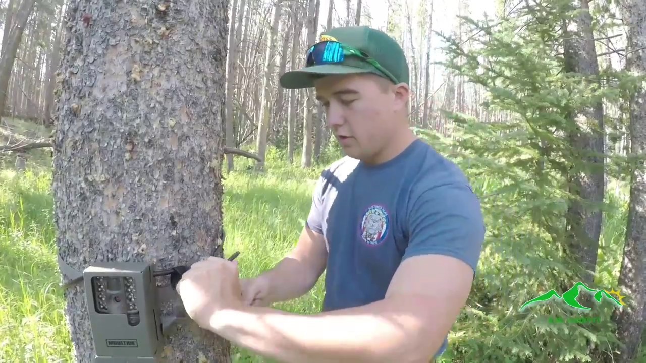 HowToGuide setting up trail cameras on public land. YouTube