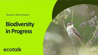 Biodiversity in Progress | Bowyer’s Wood Update Part 1