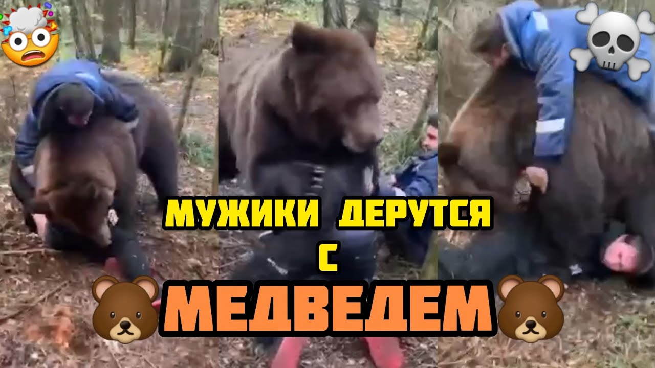 Мужики Дерутся с медведем, человек против медведя, охота на медведя ...