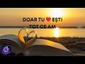 Doar Tu 🌅 Summer Vibes | Silent Storm Beats (Official Audio)