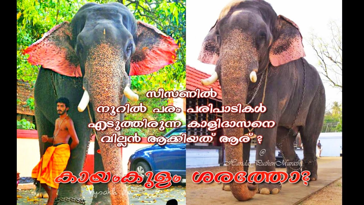 സീസണിൽ  നൂറിൽ പരം പൂരങ്ങൾ എടുത്തിരുന്ന കാളിദാസനെ വില്ലൻ ആക്കിയത് ആര് ???Episode 1