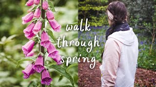 The Art of Slowing Down and Noticing the Seasons | Spring | Nature Walk