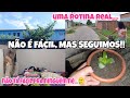 🌸NÃO ME ENVERGONHO DE COMPARTILHAR MINHA REALIDADE🥹-minha realidade morando no Pará 🍀🏠🧿