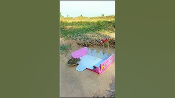 Survival EASY simple quails trap / Underground quails trap# shorts
