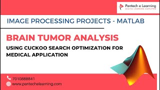 Brain Tumor Analysis using Cuckoo Search Optimization for Medical Application