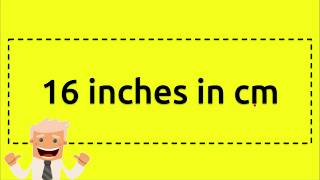 16 inches in cm