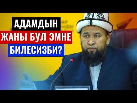 Video: Адамдын өнүгүүсүн эмне аныктайт?