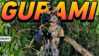 P1 - Pamamana ng Giant Gurami - EP2081