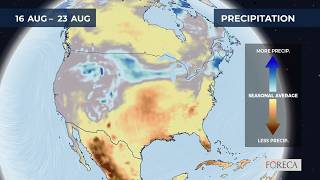 Monthly precipitation forecast for the USA 2026