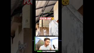 poocha saar😼#eaglegaming #kaztrogaming #tva #kva