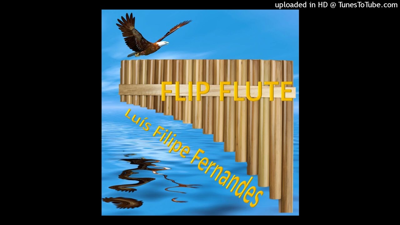 El Condor Pasa - cover by Luis Fernandes