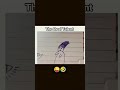 The Cranberries Dreams Dir Peter Scammell Official Music Video Nishusuman999 Funny Short 