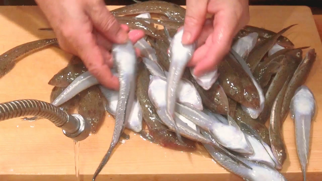メゴチ ネズッポ の唐揚げ 大和の 和の料理 揚げ物 Youtube