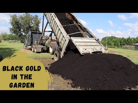 Video: Fördelar med Cotton Burr Compost - Använda Cotton Burr Compost som kompost i trädgårdar