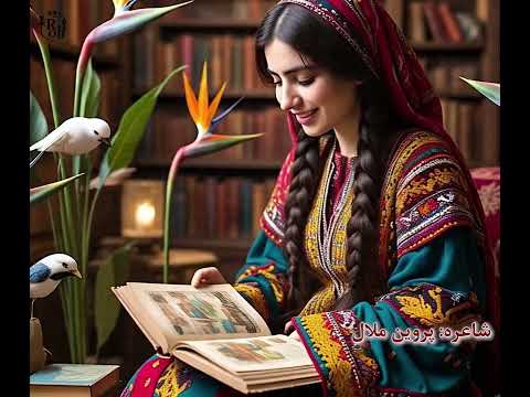 Parveen Malala Yaw Qalam Ghwaram Poem پروین ملال یو قلم غواړم ډیزاین بارکوال میاخېل