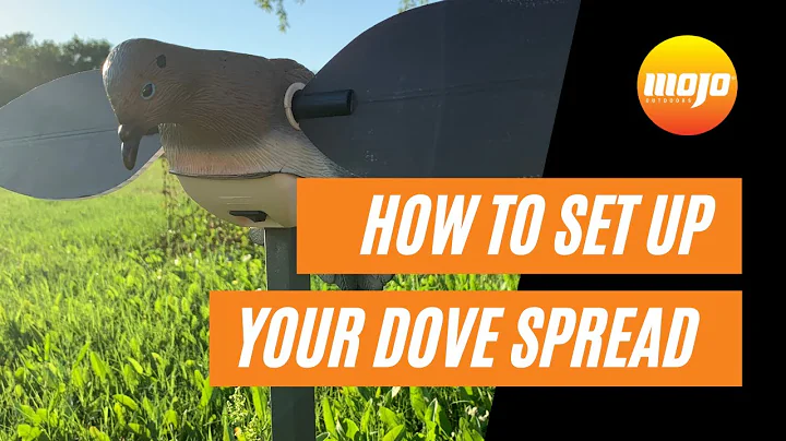 Mastering Dove Hunting: Set Up Your Decoy Spread Like a Pro