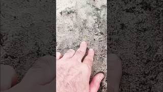 If This Doesnt Excite You Nothing Will