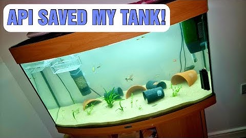 API SAVED MY TANK!
