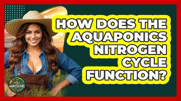 How Does The Aquaponics Nitrogen Cycle Function? - The World of Agriculture
