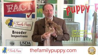 Benefits of the AKC