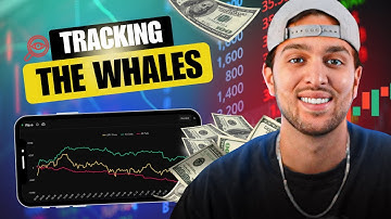 How To Trade With The Market Makers (Flowtopia Tutorial)