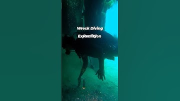 Wreck Diving.  Expectation vs. Reality #diving #scubadiving