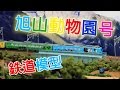 Nゲージ鉄道模型 - Tomix キハ183系特急ディーゼルカー（旭山動物園号）