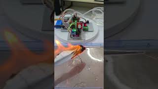 🔥 Smart Fire Detection System with Automatic Water Sprinkler 🚒 | Electronics Engineering Project