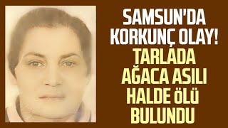 Samsun Da Tarlada Ağaca Asılı Halde Ölü Bulundu 