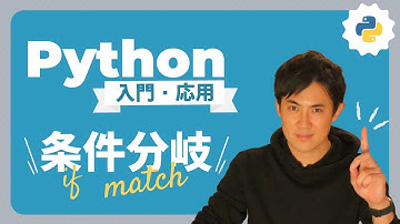 【Python入門・応用講座】11.条件分岐｜条件に応じて処理を分ける「条件分岐」をマスター！if文やmatch文について説明（初心者にもわかりやすく解説）※修正してアップ