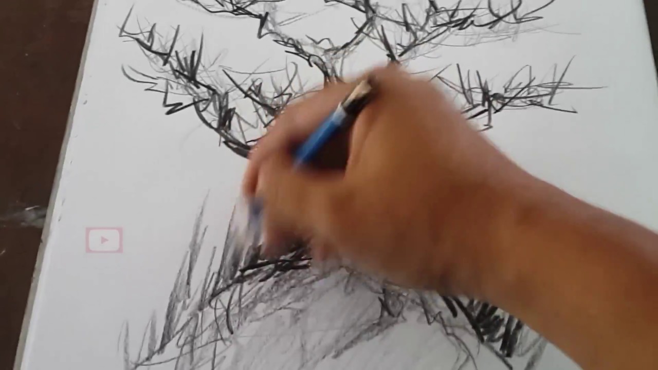 Cara Menggambar Pohon Menggunakan Pensil Arang 1 Charcoal Pencil