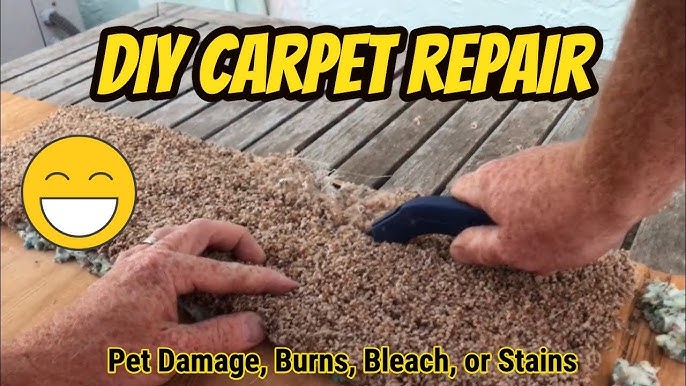 DIY Carpet Repair VS. PROFESSIONAL Carpet Repair 