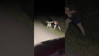 Goat Chases Girl After Failed Rescue Attempt