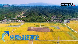 粮食产能提升计划：千亿斤增量哪里来？「央视财经评论」20221226 | CCTV财经