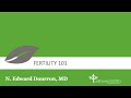Fertility 101, How Mini-Stim IVF Works & Lower Cost IVF Options
