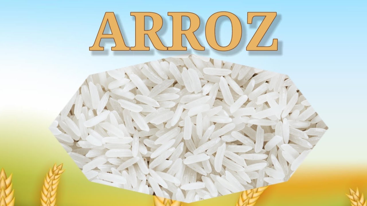 ARROZ! Vamos aprender a falar a palavra arroz? - YouTube