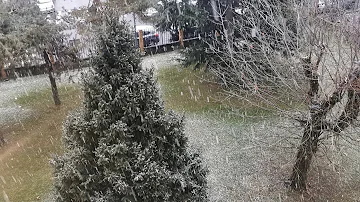 Qual è stato il primo giorno nel quale è caduta la neve a Milano nel gennaio 2016?