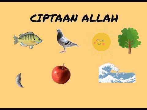 Pdpr Sains Sosial Dan Pembangunan Insan Ciptaan Allah Dan Ciptaan Manusia 6 Tahun Ptpzh Youtube