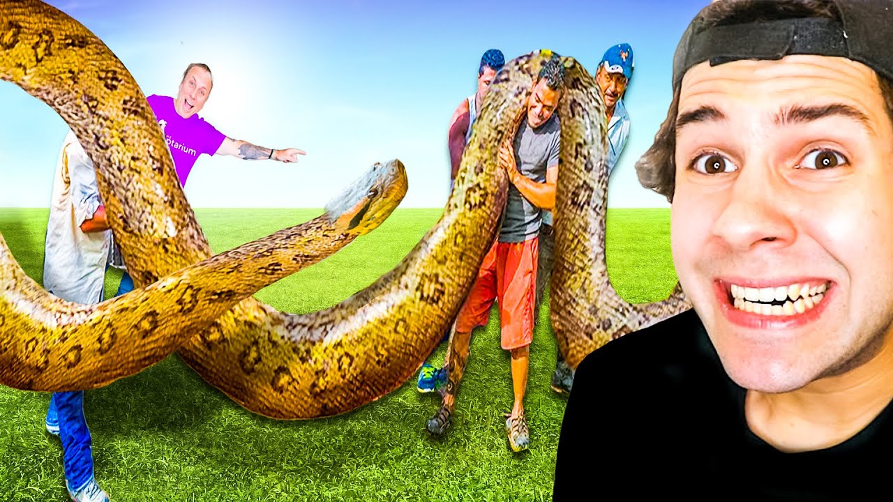 David Dobrik's Reaction To A Giant Snake!