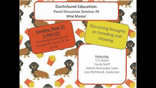 Dachshund Education: miniature dachshund breeders