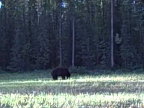 North to Alaska Part 2