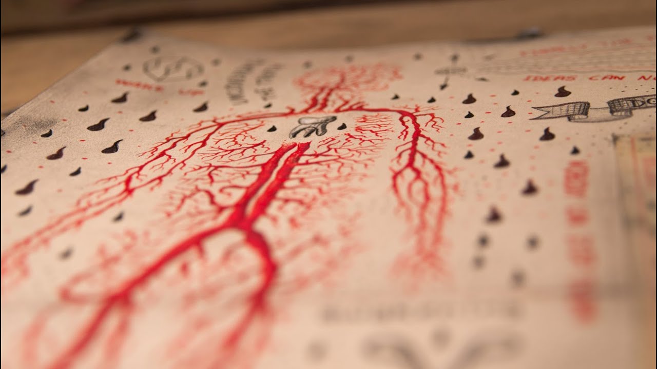 Daniel Martin Diaz - What We See