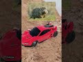 The Secret Behind Wombat’s Cube-Poop 🤯