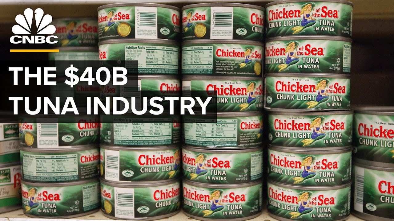 Read more about the article Why Americans Fell Out Of Love With Canned Tuna – CNBC