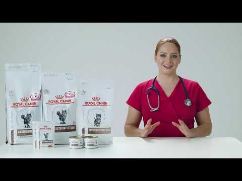 Корм ROYAL CANIN GASTROINTESTINAL для кошек при заболеваниях желудочно-кишечного тракта в Magizoo.ru