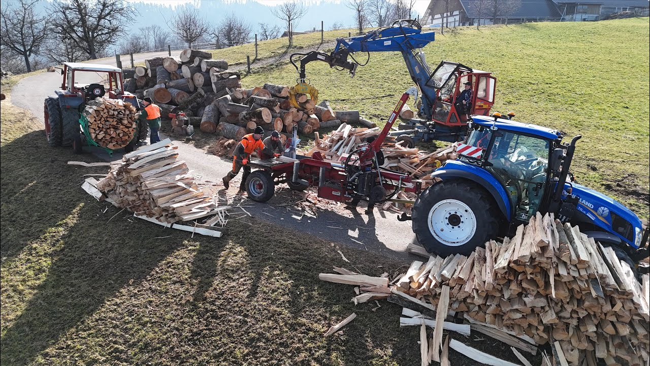 Brennholzservice mit Holzspalter 🇨🇭 🪓🪵🔥  