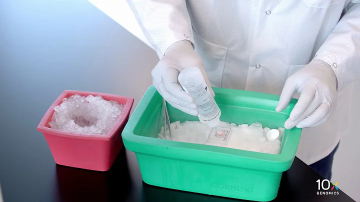 Visium Tissue Preparation Protocol | Embedding Frozen Tissue in OCT