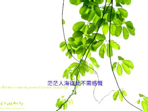 『最美的真愛』偶然遇上的驚喜－第四部曲（團契遊樂園推介詩歌）