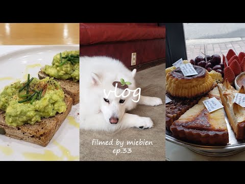 Vlog. 大型犬カフェ🐾｜日比谷 Buvette☕｜月島もんじゃ🥢｜銀座 AUX BACCHANALES🍴｜夏祭り🎐｜Rose Bakery🥑｜新大久保 コングクス🥄｜BAM BI COFFEE🌰