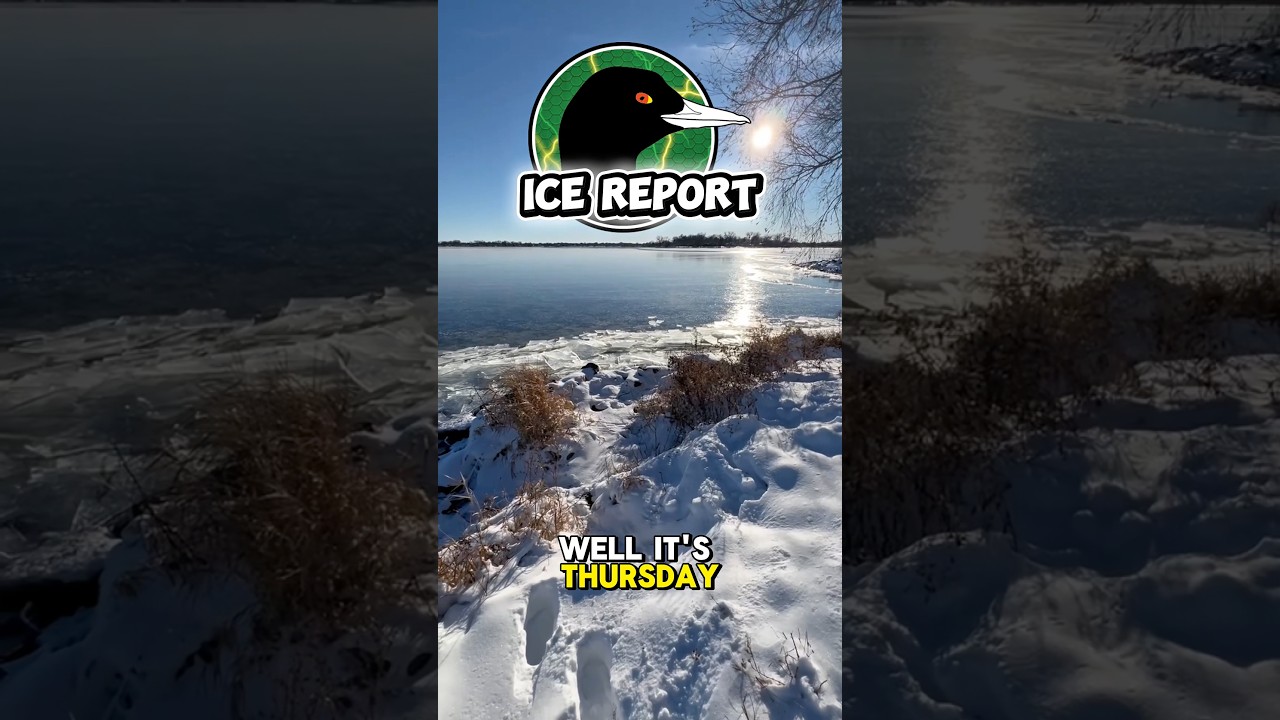 ❄️ ОТЧЕТ О ЛЬДУ – БУХТА АСИЛУМ, ОШКОШ, 4.12.25❄️🦆🎣